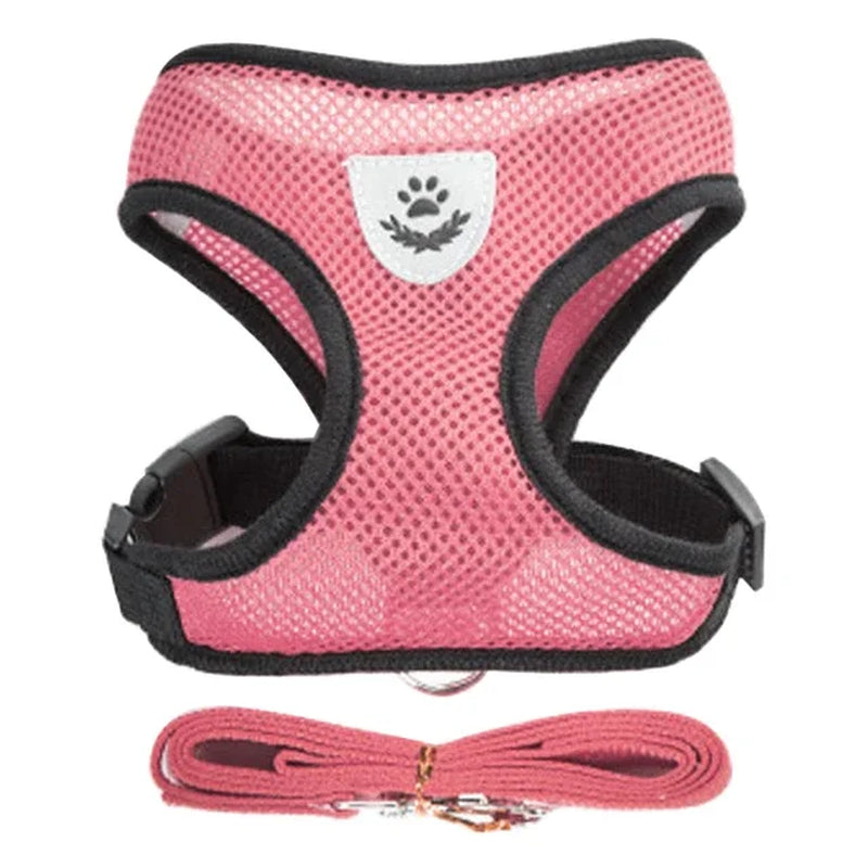 Adjustable Polyester Mesh Cat Harness Vest with Leash for Small and Medium Dogs