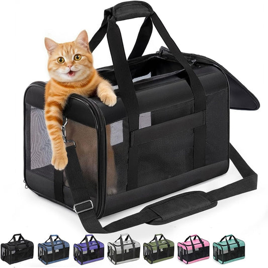 Airline-Approved Soft-Sided Cat and Dog Carrier with Safety Leash for Pets Up to 15 lbs - Collapsible Travel Bag in Black