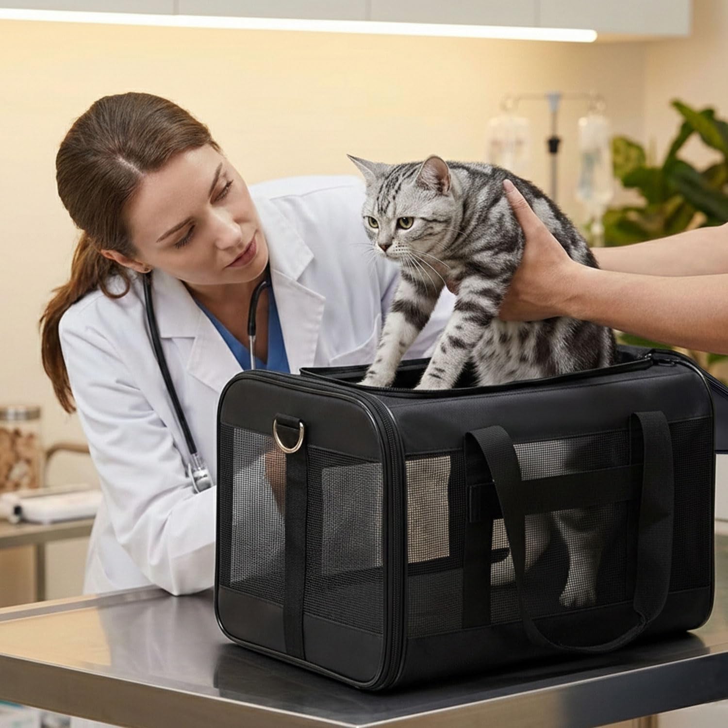 Airline-Approved Soft-Sided Cat and Dog Carrier with Safety Leash for Pets Up to 15 lbs - Collapsible Travel Bag in Black