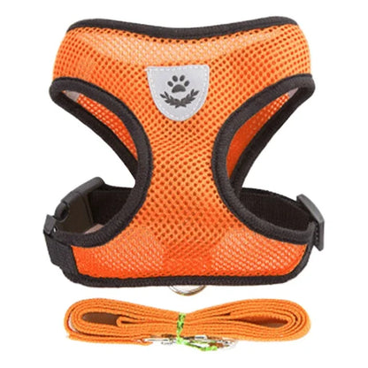 Adjustable Polyester Mesh Cat Harness Vest with Leash for Small and Medium Dogs
