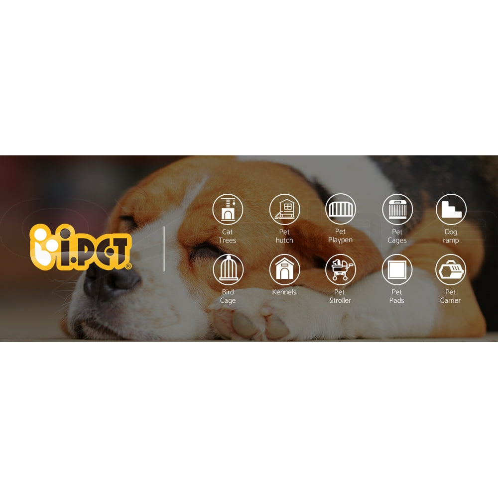 I.Pet Smart Automatic Pet Feeder with Camera and WiFi Connectivity for Dogs and Cats