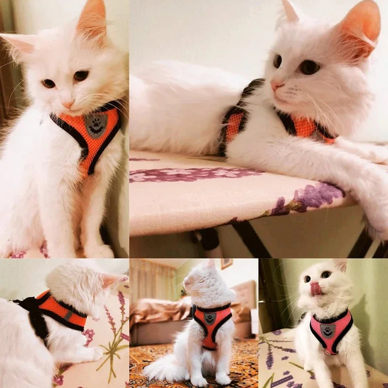 Adjustable Polyester Mesh Cat Harness Vest with Leash for Small and Medium Dogs