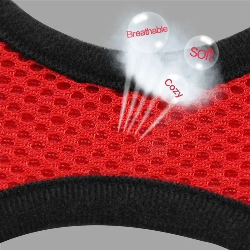 Adjustable Polyester Mesh Cat Harness Vest with Leash for Small and Medium Dogs
