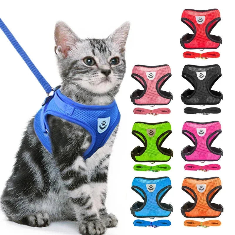 Adjustable Polyester Mesh Cat Harness Vest with Leash for Small and Medium Dogs