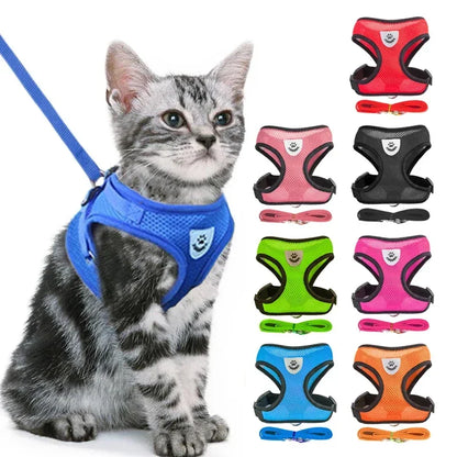 Adjustable Polyester Mesh Cat Harness Vest with Leash for Small and Medium Dogs