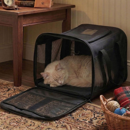 Airline-Approved Soft-Sided Cat and Dog Carrier with Safety Leash for Pets Up to 15 lbs - Collapsible Travel Bag in Black