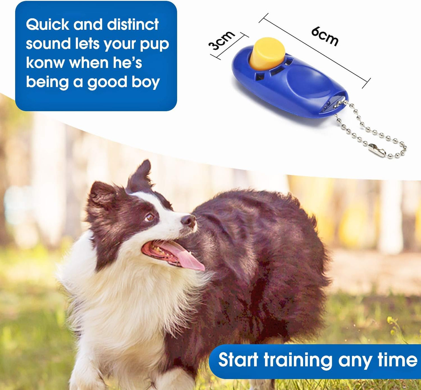 Professional Dog Training Leash with Clickers - Available in 15, 20, 30, 50, and 100 Feet for Small, Medium, and Large Dogs or Cats (50 Feet, Blue)