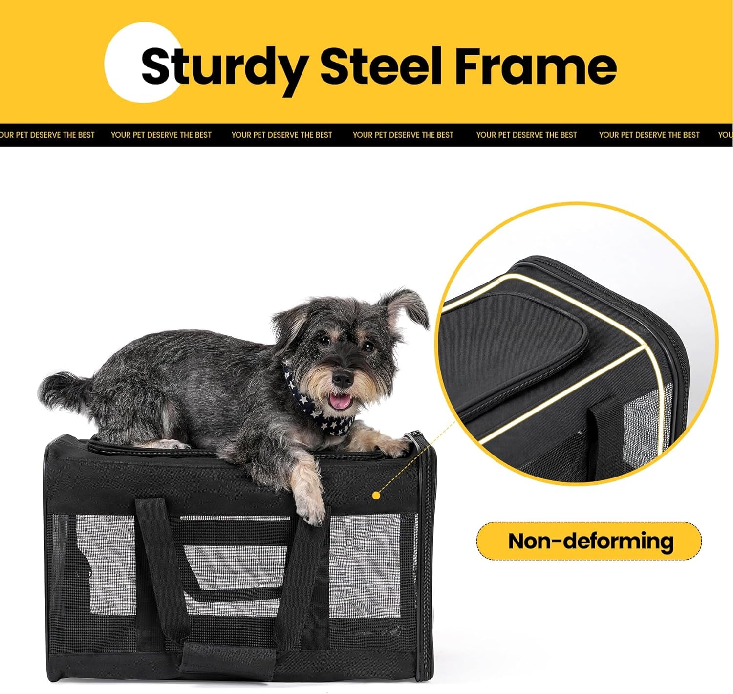 Airline-Approved Soft-Sided Cat and Dog Carrier with Safety Leash for Pets Up to 15 lbs - Collapsible Travel Bag in Black