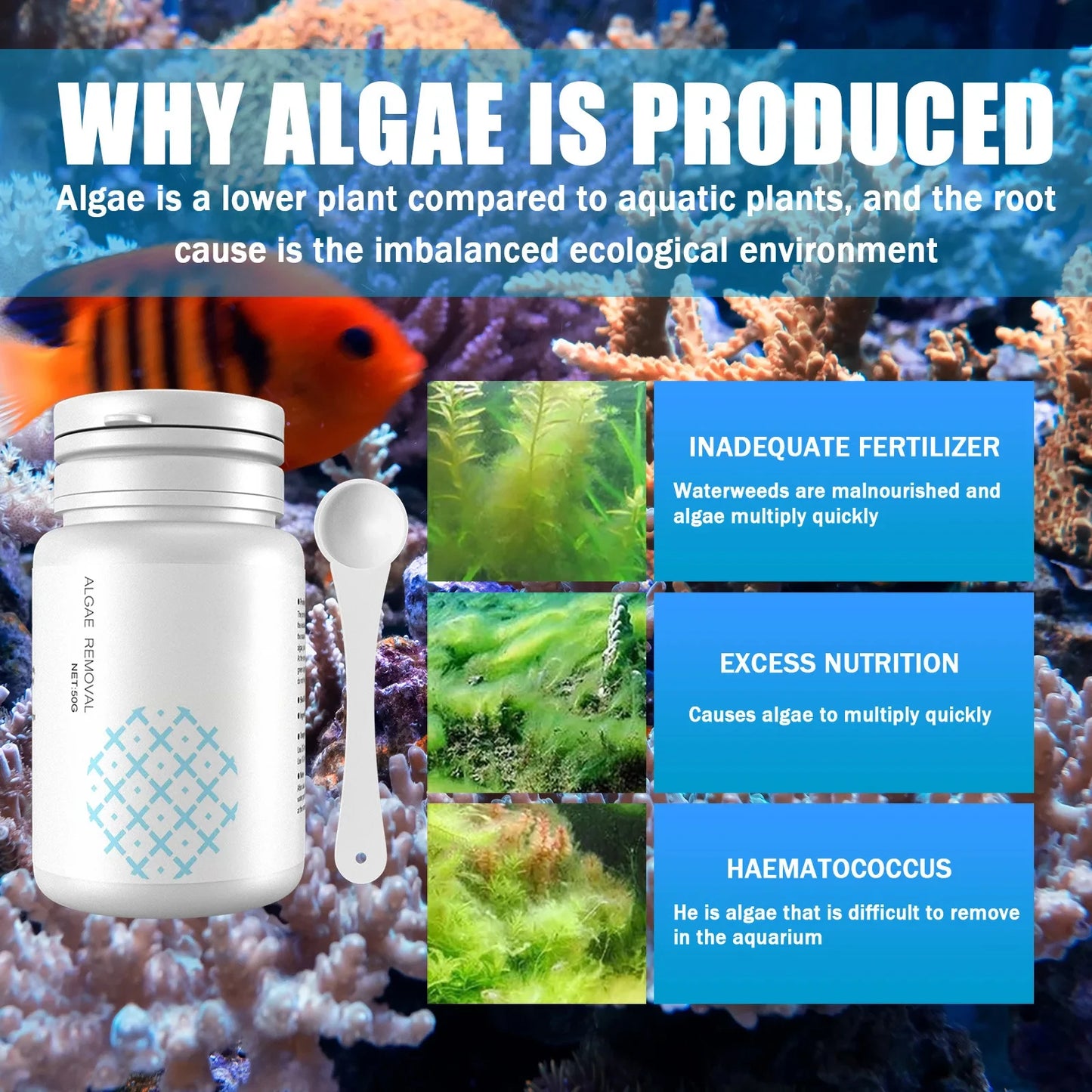 Algae Control Tablets for Aquarium: Odor Eliminator and Water Purification Algaecide for Fish Tank Maintenance