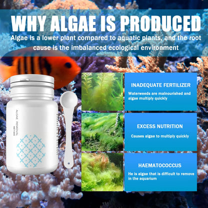 Algae Control Tablets for Aquarium: Odor Eliminator and Water Purification Algaecide for Fish Tank Maintenance