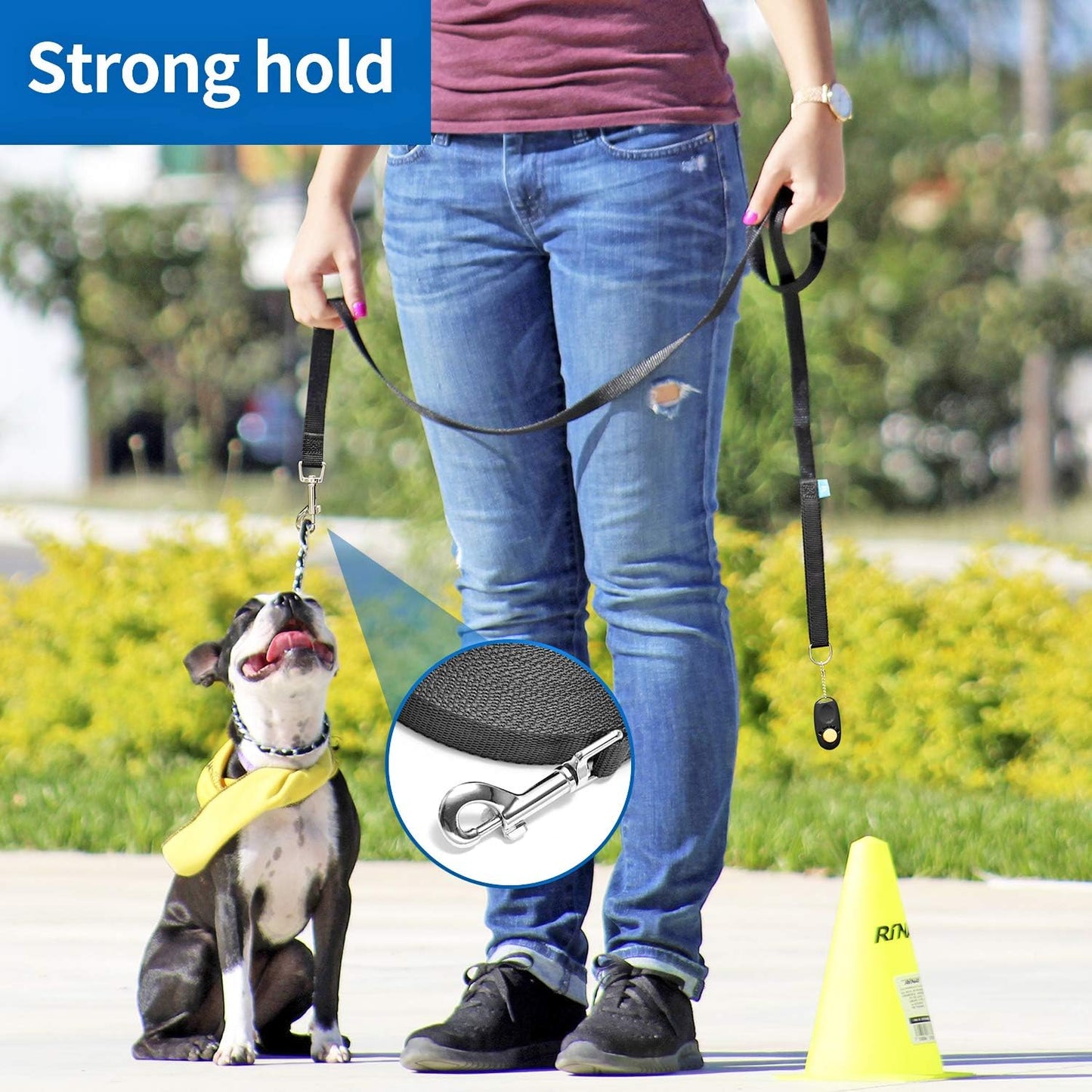 Professional Dog Training Leash with Clickers - Available in 15, 20, 30, 50, and 100 Feet for Small, Medium, and Large Dogs or Cats (50 Feet, Blue)