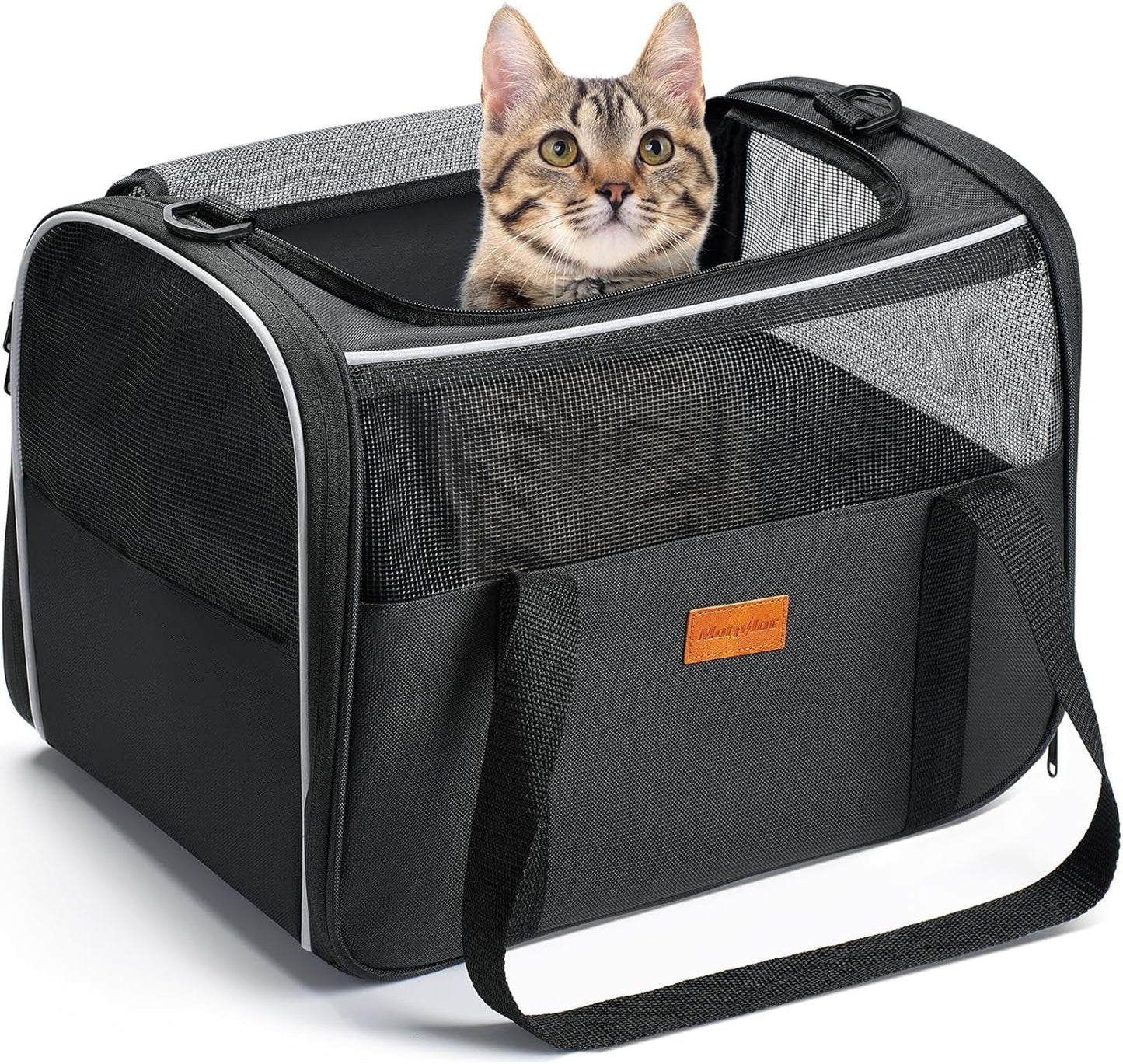 Cat Carrier Soft - Portable Pet Carrier for Small or Medium Cats, Dogs and Puppy up to 14Lbs, Airline Approved Dog Carrier with Safety Buckle - 16.0 X 10.4 X 11.2 Inch (Dark Gray)