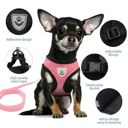 Adjustable Polyester Mesh Cat Harness Vest with Leash for Small and Medium Dogs