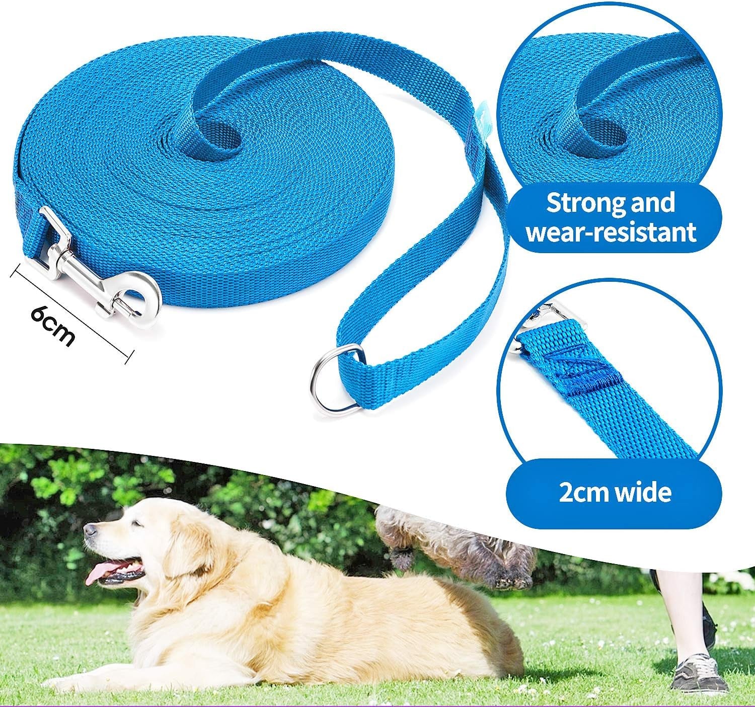 Professional Dog Training Leash with Clickers - Available in 15, 20, 30, 50, and 100 Feet for Small, Medium, and Large Dogs or Cats (50 Feet, Blue)