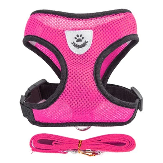Adjustable Polyester Mesh Cat Harness Vest with Leash for Small and Medium Dogs