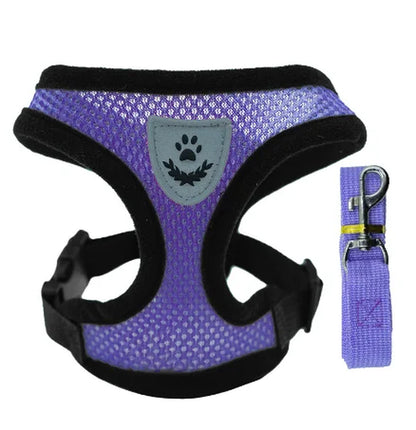 Adjustable Polyester Mesh Cat Harness Vest with Leash for Small and Medium Dogs